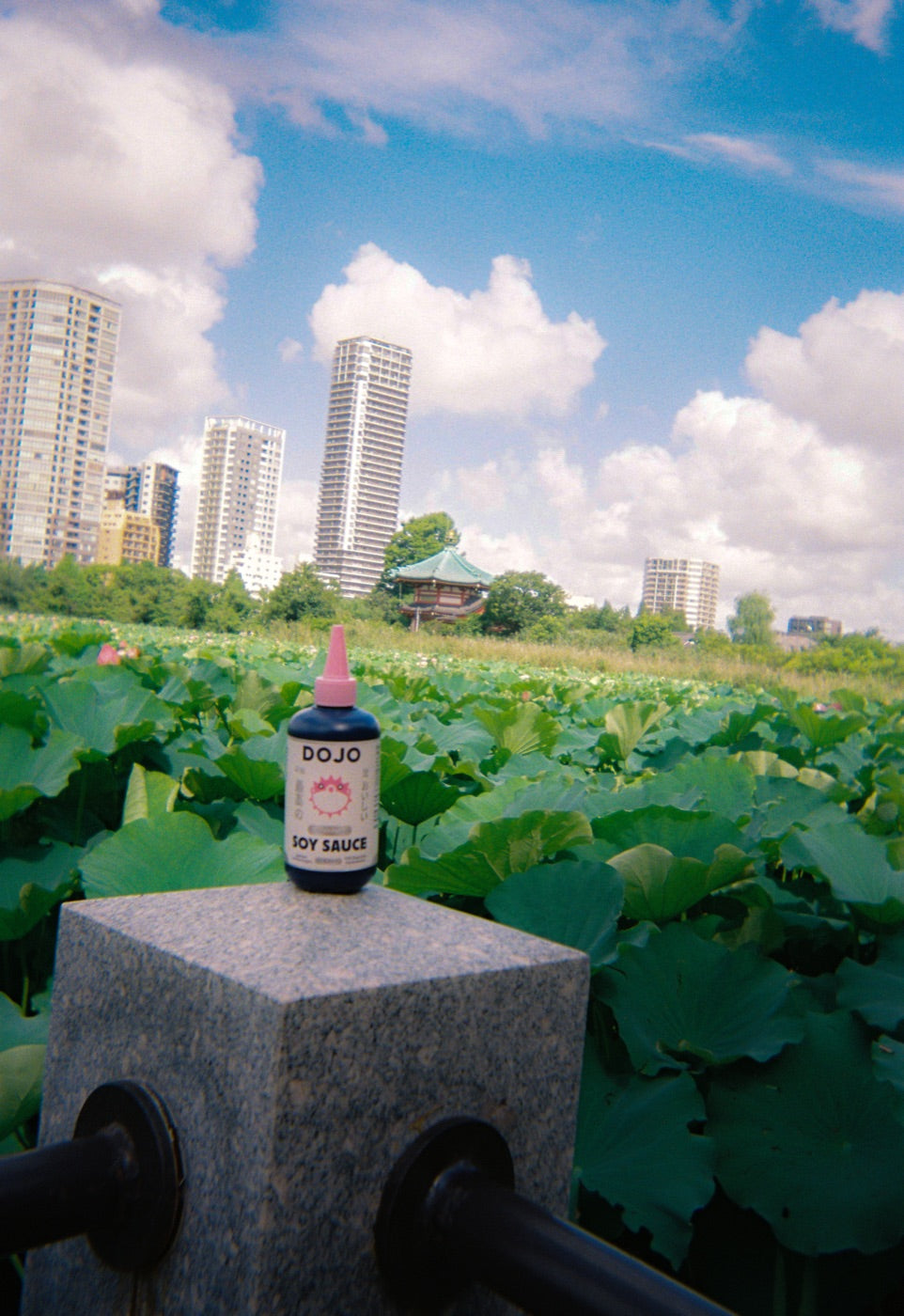 The bottle on a stone rail above a lotus pond with the city skyline behind