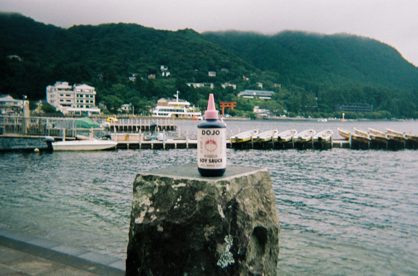 The Dojo bottle standing on a mossy stone post above a harbor